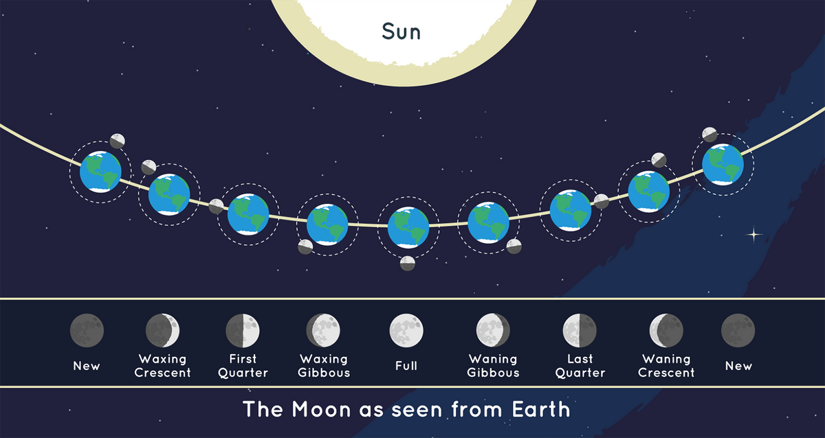 Diagram showing Earth orbiting the Sun and the Moon orbiting Earth, with lunar phases from new moon to full moon and back.